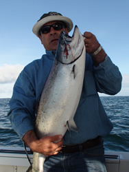 Anas and his family from Edmonton Alberta fished with Doug of Slivers Charters Salmon Sport Fishing and had agreat day on the open water fishing for Chinook and Coho.  Anas landed this Chinook on atomic spoon and was at the Outer South Bank. 