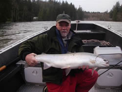Ken with a great looking wild winter steelhead on the Stamp River located near Port Alberni B.C.