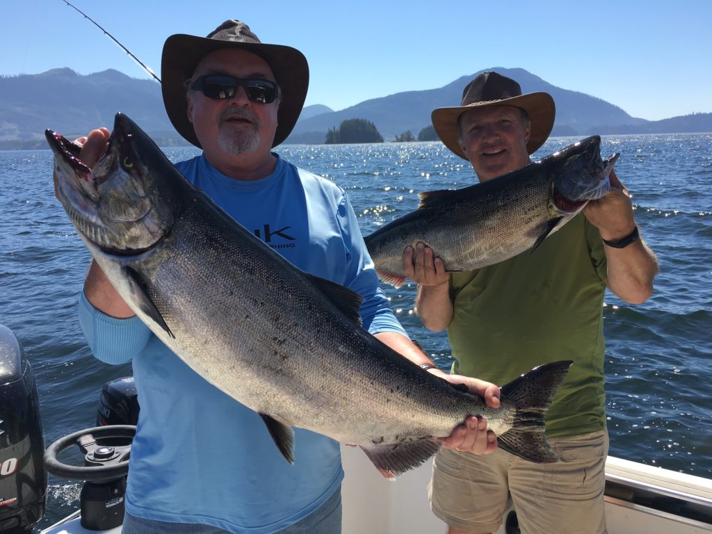 Two beautiful late summer Chinook land by Mardie and Fred of Ontario. Fishing with Slivers Charters the two salmon were landed using anchovy in a Rhys Davis glow army truck teaser head.