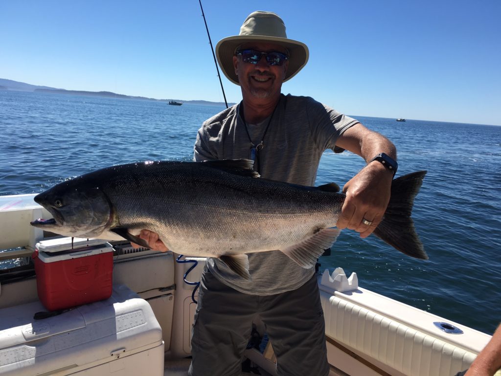 Charly from Arizona land this beautiful Chinook fishing the waters of Barkley Sound in very late August. Fish was landed using anchovy.