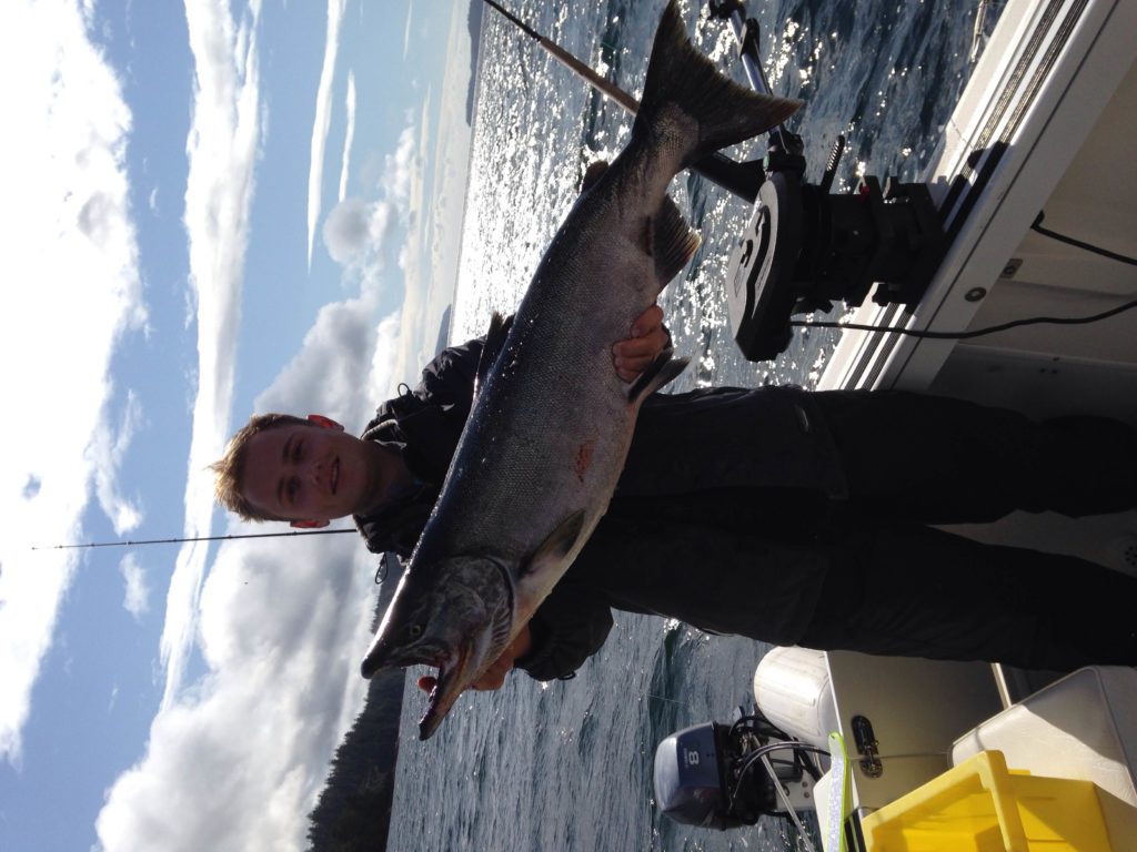 Benny landed this great Chinook salmon fishing with Doug of Slivers Charters Salmon Sport Fishing. This Chinook is a returning West Coast Vancouver Island fish. The summer of 2017 should see a good return of four year old Chinook to West Coast Vancouver Island