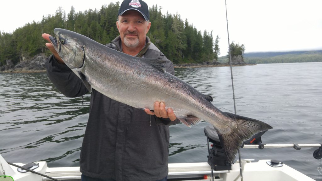 Fred from Ontario with Great Chinook Salmon landed at Cree Island. Guide was Doug of Slivers Charters Salmon Sport Fishing