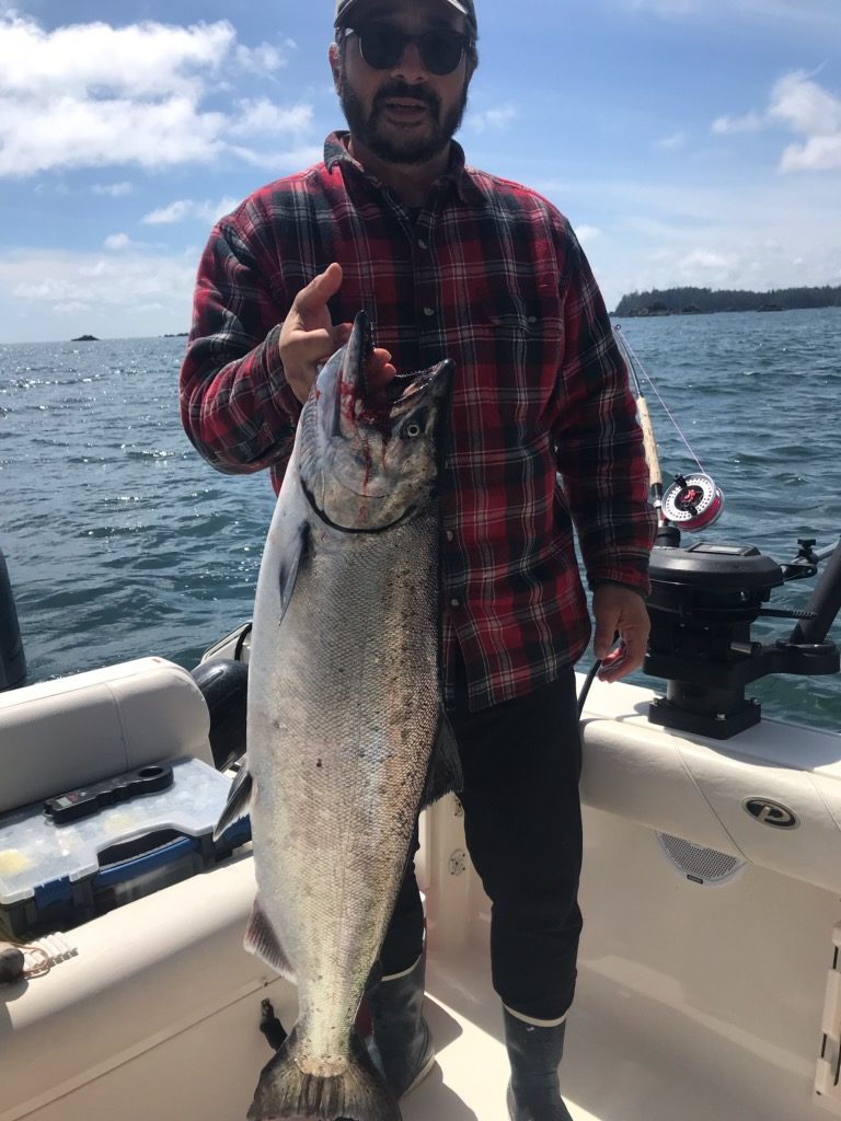 Chinook salmon landed in early June by Chris of Whiterock B.C.   This salmon was landed close to Meares Bluff using a white and green hootchie at ninety feet.   